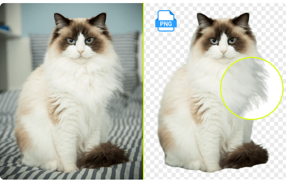 Make background transparent precisely with AI